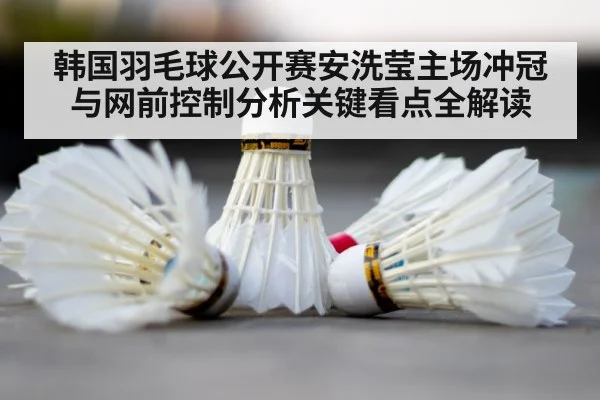 badminton shuttlecock court